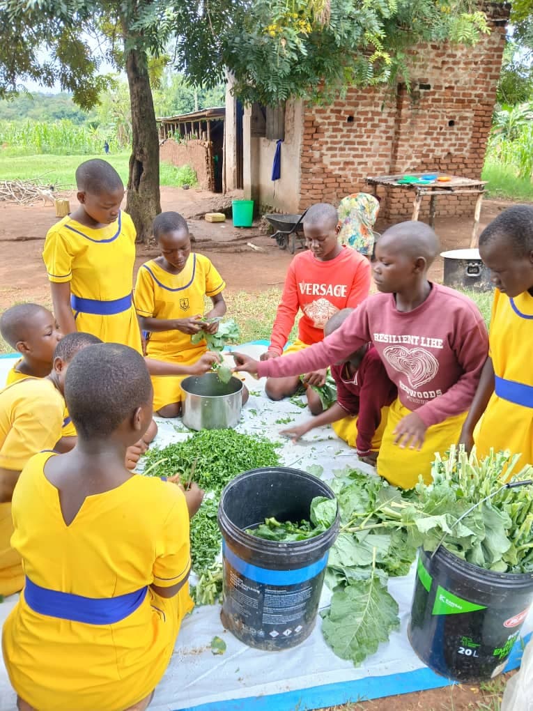 school-garden