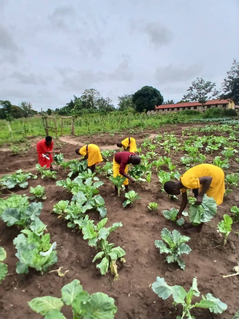 school-garden